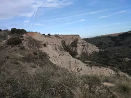 Los Pinos