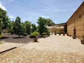 Bodega Finca Loranque