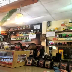 IL CAPPUCCINO Specialty coffee