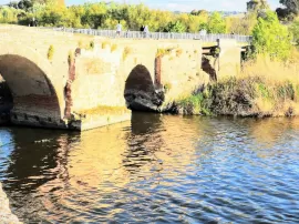 Parque del Cañillo