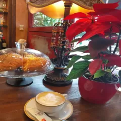 Bar Sugar Talavera