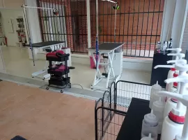 Centro Veterinario Huellitas