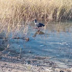 Lagunas de Villafranca