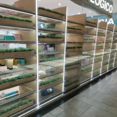 Druni Perfumerías ®