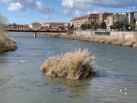 Puente Reina Sofía