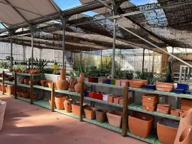 Avícola Grau