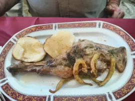 Bar Monico