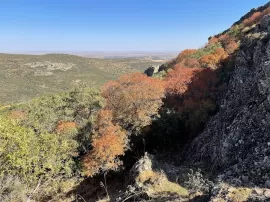 Cueva de Castrola