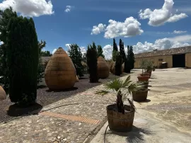 Bodega Finca Loranque