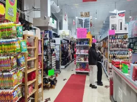 BAZAR SUPER PANDA TORRIJOS