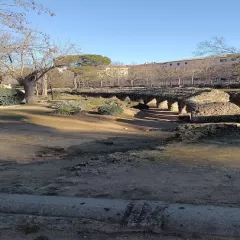 Parque Circo Romano