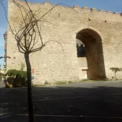 Teatro Palenque