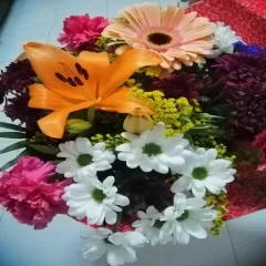 Adolfo Floristas