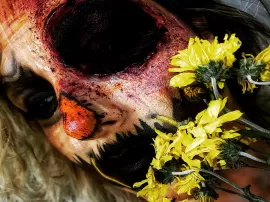 Erika Marcos Make Up Studio