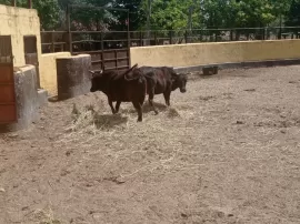 Granja Escuela La Chopera