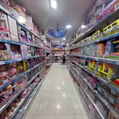 Toy Planet