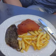 Papa