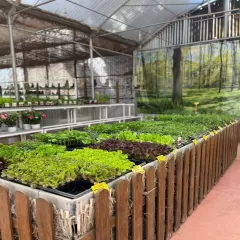 Avícola Grau